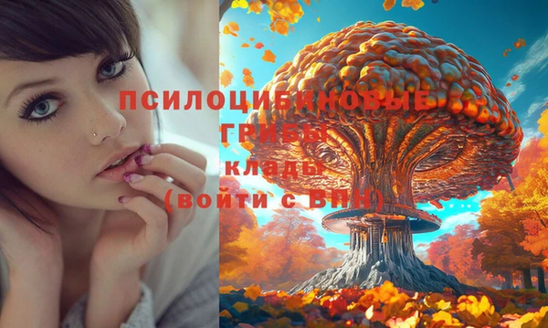 кокаин колумбия Богданович